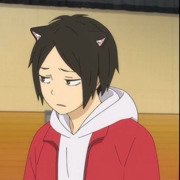 Meet your Posher, Lyonne - Picture 1 of 1